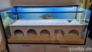Nagarien und Zubehör für Hamster Bild 5