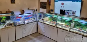 Nagarien und Zubehör für Hamster