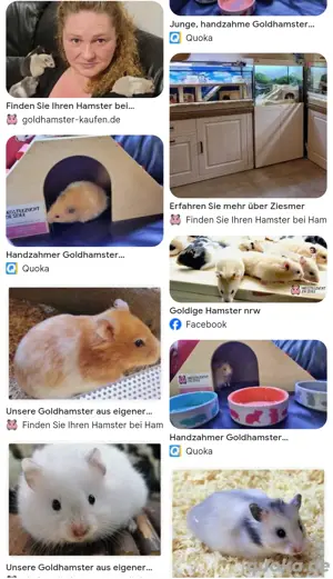 Nagarien und Zubehör für Hamster Bild 6