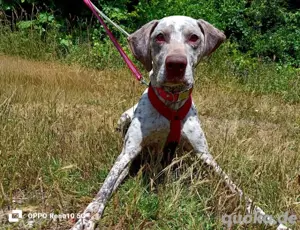 ELOISE    eine sanfte Prinzessin auf der Suche  Bild 2