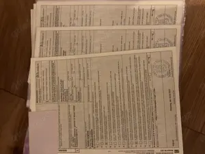 griechische landschildkröten + Breitrand abzugeben  Bild 3