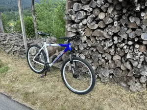 Corratec XT Rockshox mit hydraulischen Bremsen