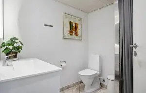 Ferienhaus in Dänemark zu vermieten Bild 9