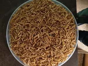 1 Liter getrocknete Mehlwürmer. Gewicht ca.160-180 Gramm.