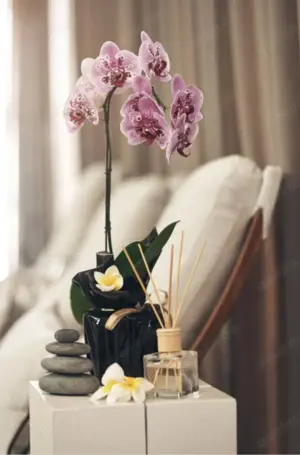 Chinesische Massage  Bild 3 Chinesische Massage  Bild 3