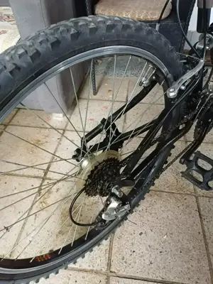 Mountainbike Performance Rocky 