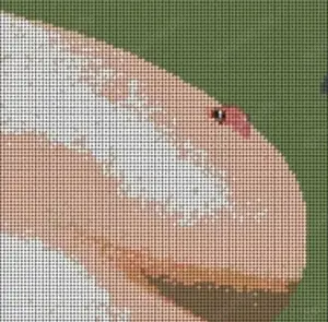 Paar oder Mann für Massage gesucht 