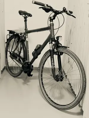 Fahrrad Campus TR4 Bild 2