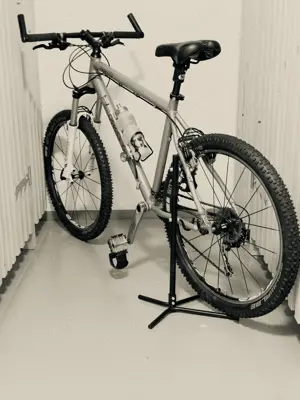 Mountainbike Maxx RaceMaxx Bild 2