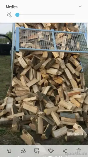 Brennholz Buche Esche