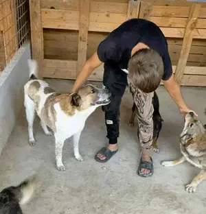 Paul - eine ganz besondere Fellnase sucht einen besonders lieben Platz Bild 4