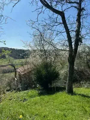 Liebhabergrundstück in Südhanglage   ehemaliger Weinberg mit Gartenhaus in Weissach Bild 4