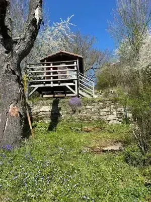 Liebhabergrundstück in Südhanglage   ehemaliger Weinberg mit Gartenhaus in Weissach Bild 5
