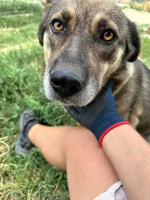 Alia - Lebensfreude pur Bild 9