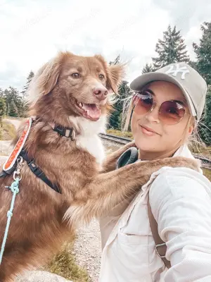 Kuschelhund Barny Bild 4