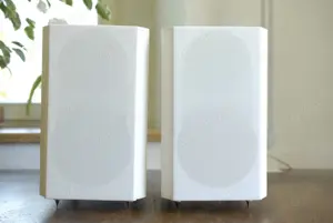 T&A Pulsar R 21 Lautsprecher