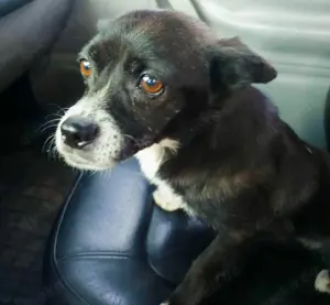 Louisa sehnt sich nach einem richtigen Zuhause Bild 2