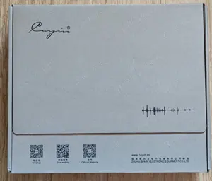 Cayin iHA-6 Kopfhörerverstärker Bild 8