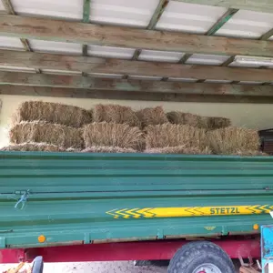 Heuballen , Abholung 200 St., 1.Schnitt Bild 2