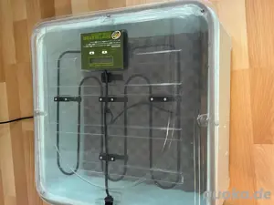 Zoomed Reptibator Inkubator