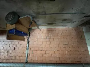 Einspänner für kräftiges Zugpferd Bild 6