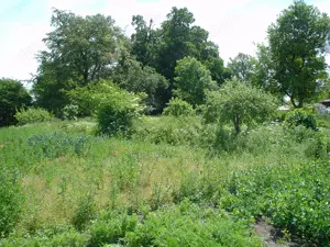 Rarität! Privatverkauf! Grundstück mit Gebäude, sehr große Halle und Große Räume Bild 5