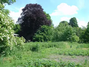 Rarität! Privatverkauf! Grundstück mit Gebäude, sehr große Halle und Große Räume Bild 2