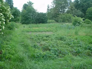 Rarität! Privatverkauf! Grundstück mit Gebäude, sehr große Halle und Große Räume Bild 3