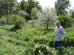Rarität! Privatverkauf! Grundstück mit Gebäude, sehr große Halle und Große Räume Bild 9