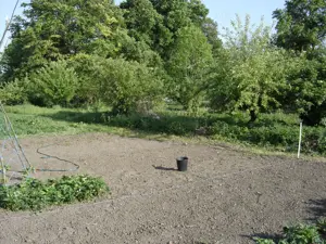 Rarität! Privatverkauf! Grundstück mit Gebäude, sehr große Halle und Große Räume Bild 10