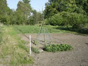 Rarität! Privatverkauf! Grundstück mit Gebäude, sehr große Halle und Große Räume Bild 8