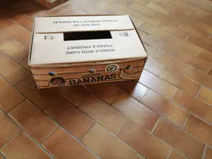 Umzugskartons zu verkaufen Bild 2