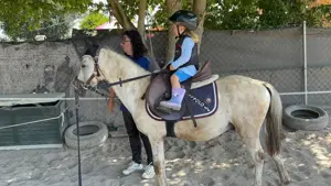 Reitpony zu verkaufen 