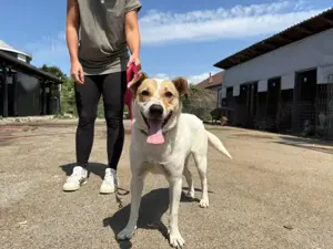 Purah möchte doch nur geliebt werden			