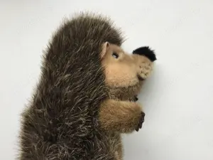 Steiff Igel Joggi Plüsch Figur mit Knopf und Fahne  Bild 5