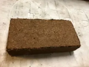 Kokos Ziegel Briketts Humus Terrarienerde