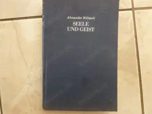 Seele und Geist von Alexander Willwoll von 1938