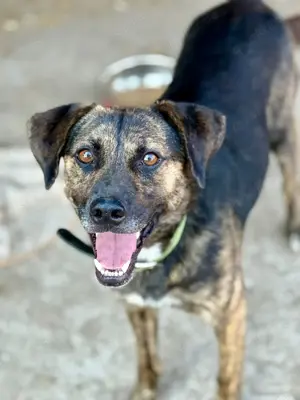 Aktiver Vin Diesel sucht aktive Menschen Bild 7