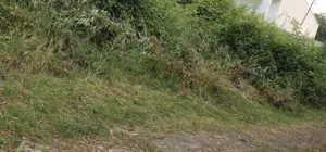 Erschlossenes Baugrundstück 300m  Strand 250m. Panoramablick