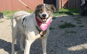 Zeynep kann tatsächlich lächeln! Bild 5