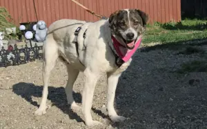 Zeynep kann tatsächlich lächeln! Bild 6