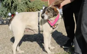 Zeynep kann tatsächlich lächeln! Bild 7