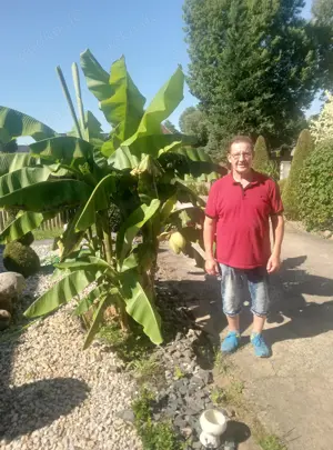 Suche nette Dame oder Paar