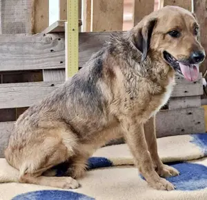 Kiran - darf ich bei dir einziehen?