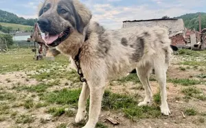 Aufgeschlossene Elly sucht ihre Familie