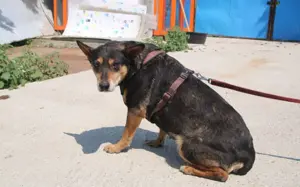 Wella sucht ihren sicheren Hafen			