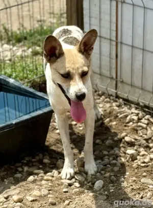 der liebe Nae sucht seine Lieblingsmensch 