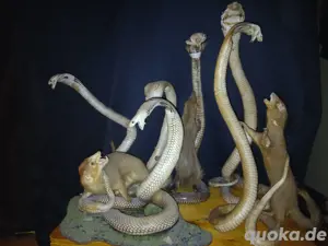 verschiedene tierpräparat