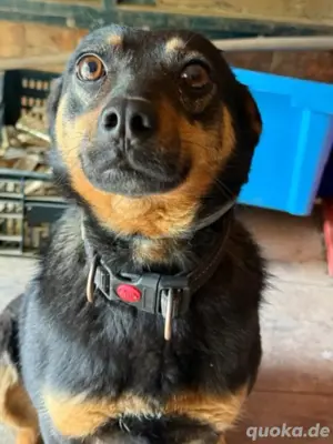 Rosza hat Power und möchte zu aktiven Menschen *noch in Ungarn*