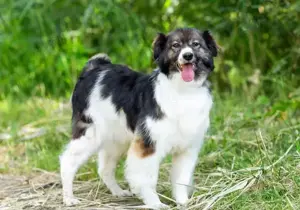 Kleine Margo sucht dich ....